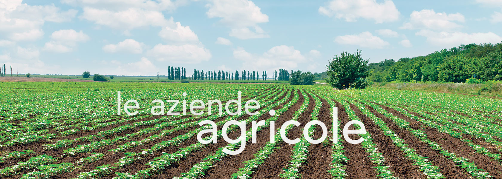 LE AZIENDE AGRICOLE